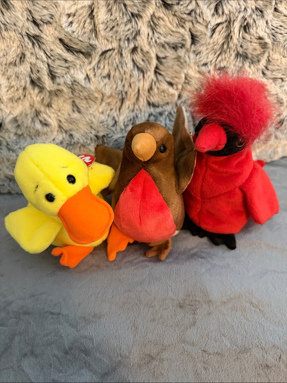 Ty Beanie Baby bird collection set of 3